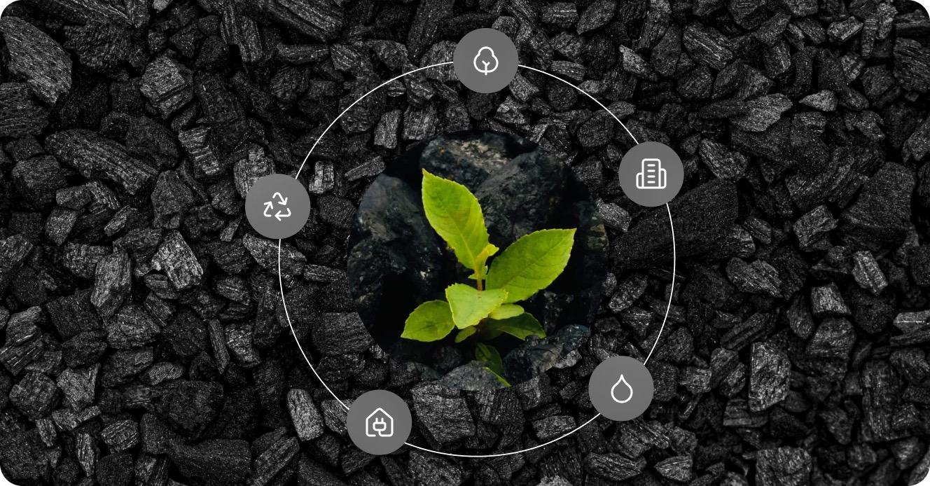 Carbon credits and biochar visual